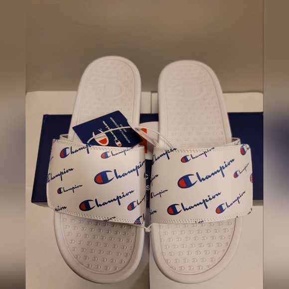 Champions Slides - Picture 2 of 6